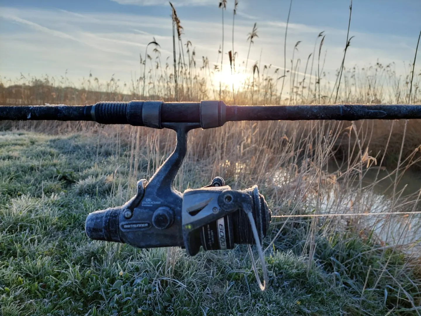 Angelrute mit Rolle im Raureif am Schilfufer, die Morgensonne dahinter