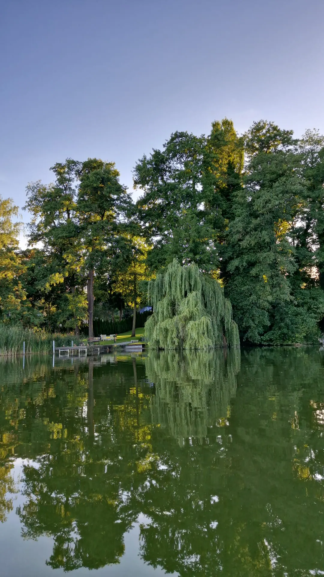 Ufer am Mellensee mit Trauerweide und Bootssteg, die Bäume spiegeln sich im ruhigen Wasser